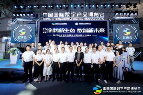 福建省信息技術(shù)咨詢服務(wù)行業(yè)協(xié)會會長陳維芳向全國人民拜新年